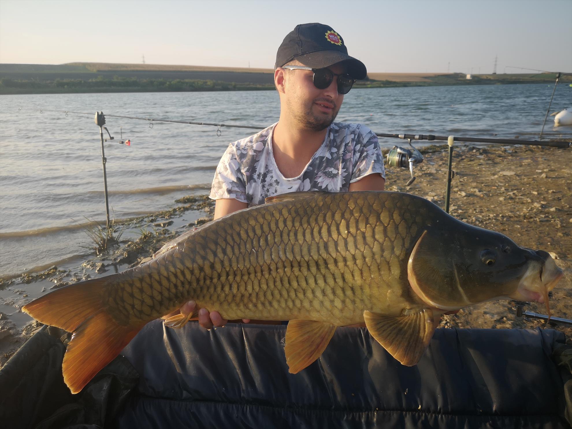 Sărulești - img20190822190614.jpg